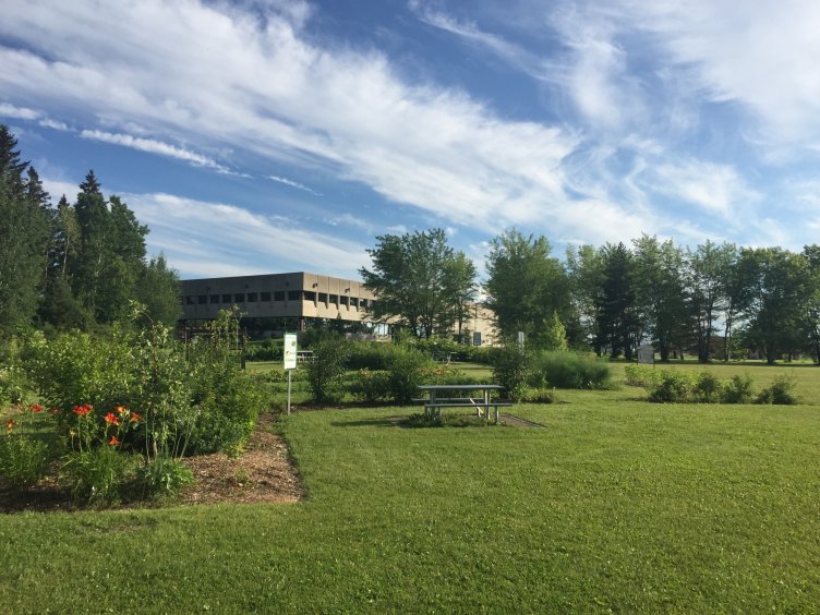 Cegep de St-Felicien(1)